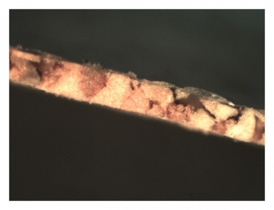 пробковый композит под микроскопом в разрезе
